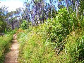 hike04.jpg