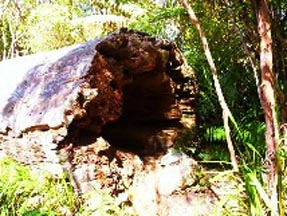 hike08.jpg