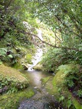 hike10.jpg
