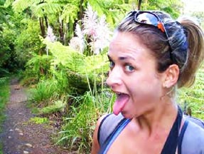 nz05e.jpg
