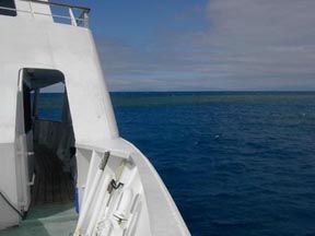 reef01.jpg