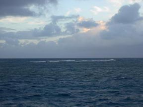 reef05.jpg