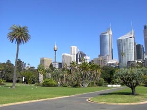 sydney03.jpg
