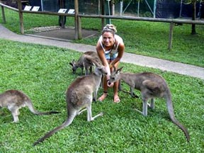 sydney08.jpg